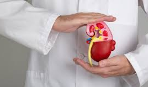 Kidney Transplant In bangalore