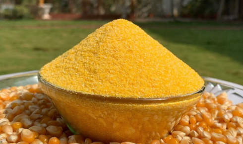 Maize Grits Supplier