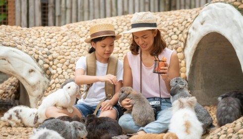 Petting Zoo Birthday